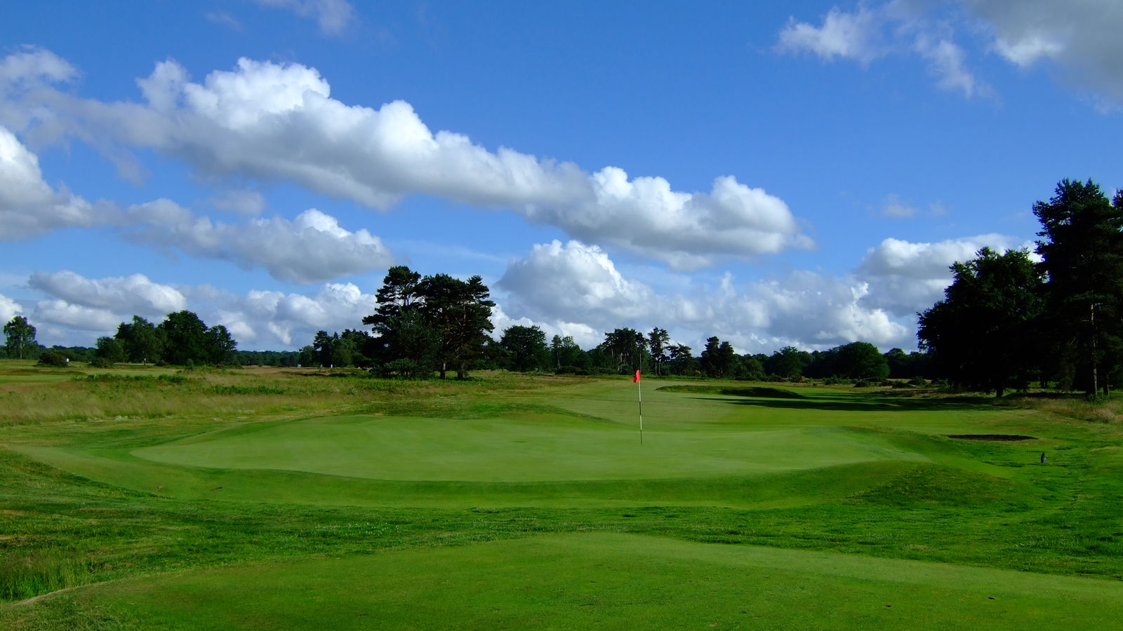 Walton Heath: New Course review